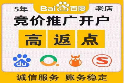 某电商平台的SEM广告投放全流程解析